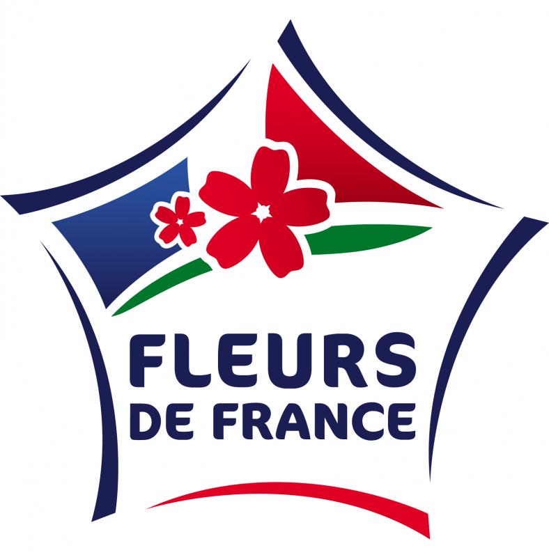 logo fleur-de-france