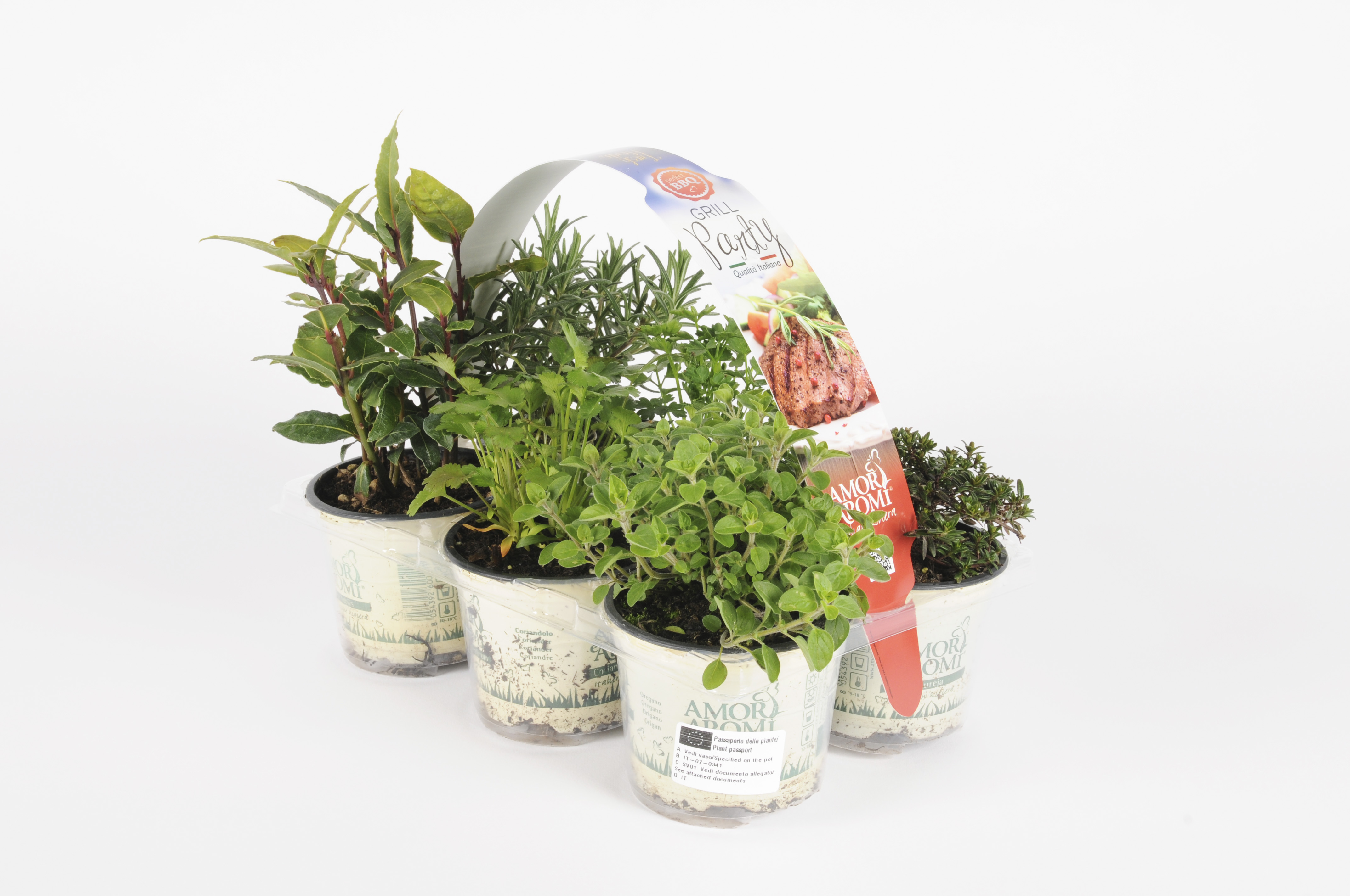 image produit BARQUETTE AROMAT. P.09X6 MIX