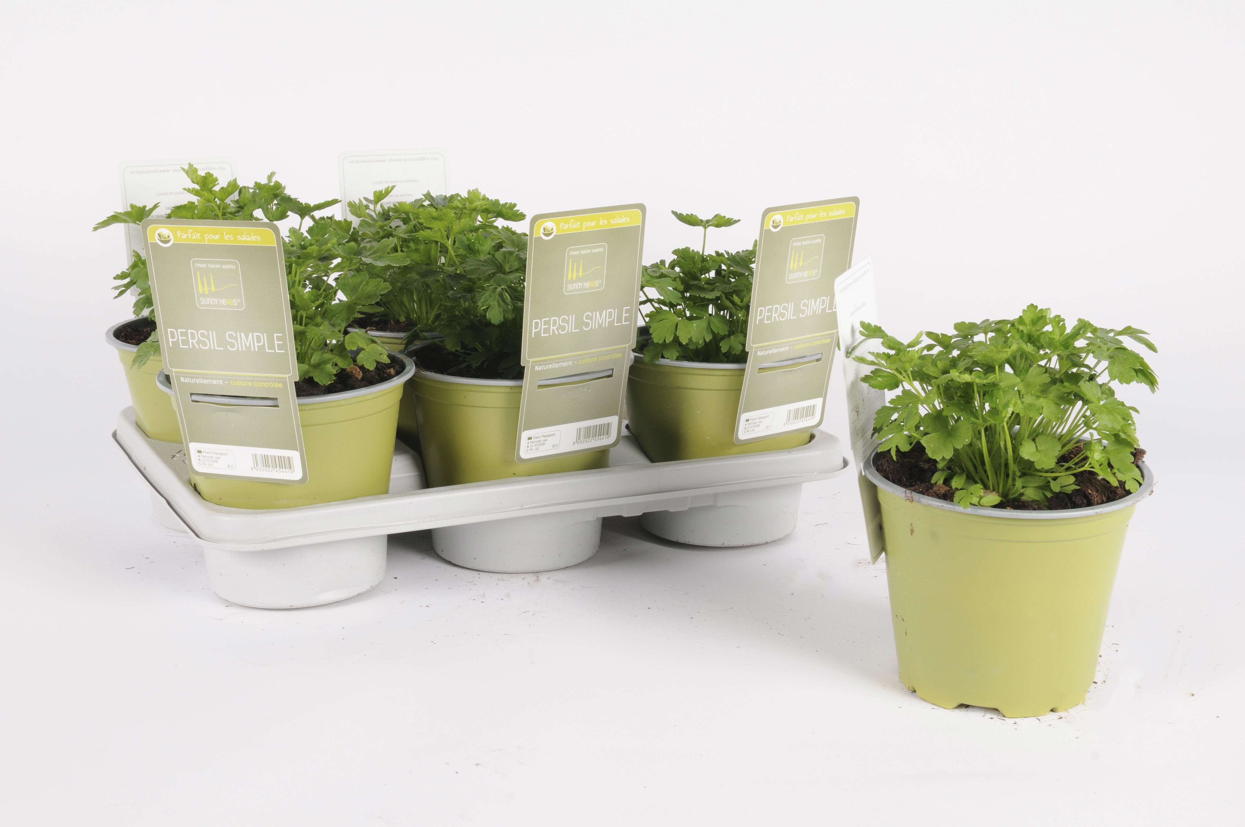 image produit PERSIL SIMPLE 14 SUNNY HERBS